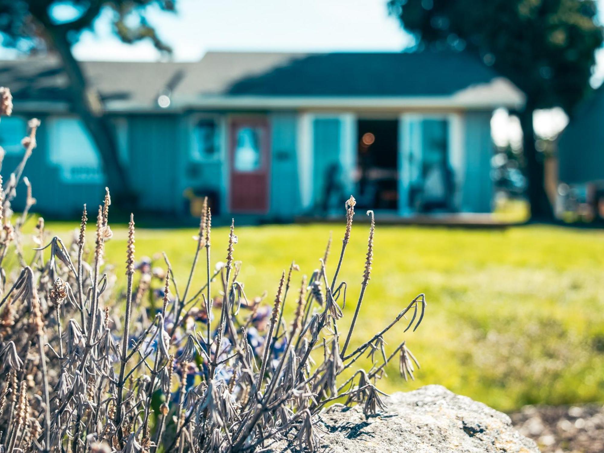 Dungeness Bay Cottages سيكيم المظهر الخارجي الصورة